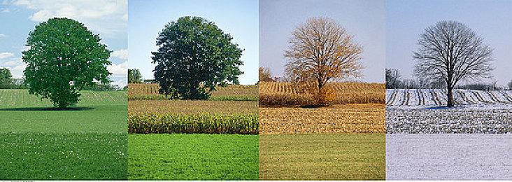 《漫威蜘蛛侠2》非官方PC版与PS5版对比：表现很接近